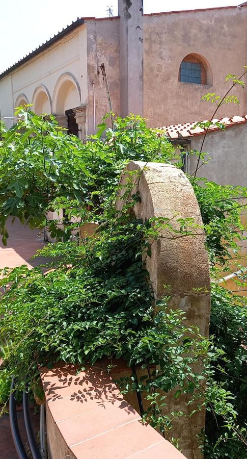 Cortile retrostante l’Istituto Liceo  Scienze Umane “R.Foresi” 6