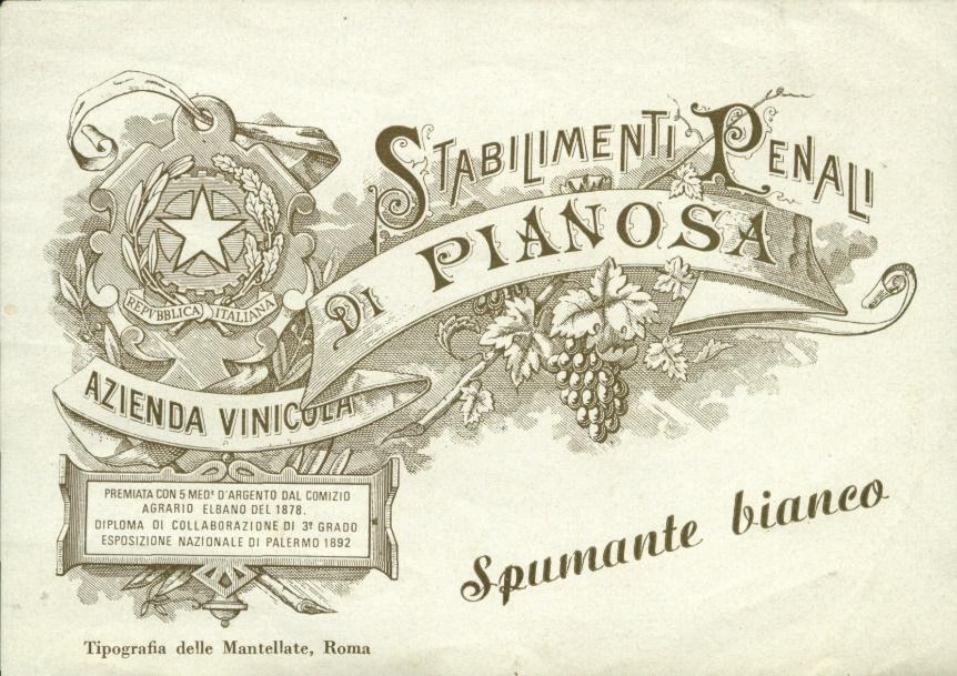 Giuseppe Cusmano 2 spumante