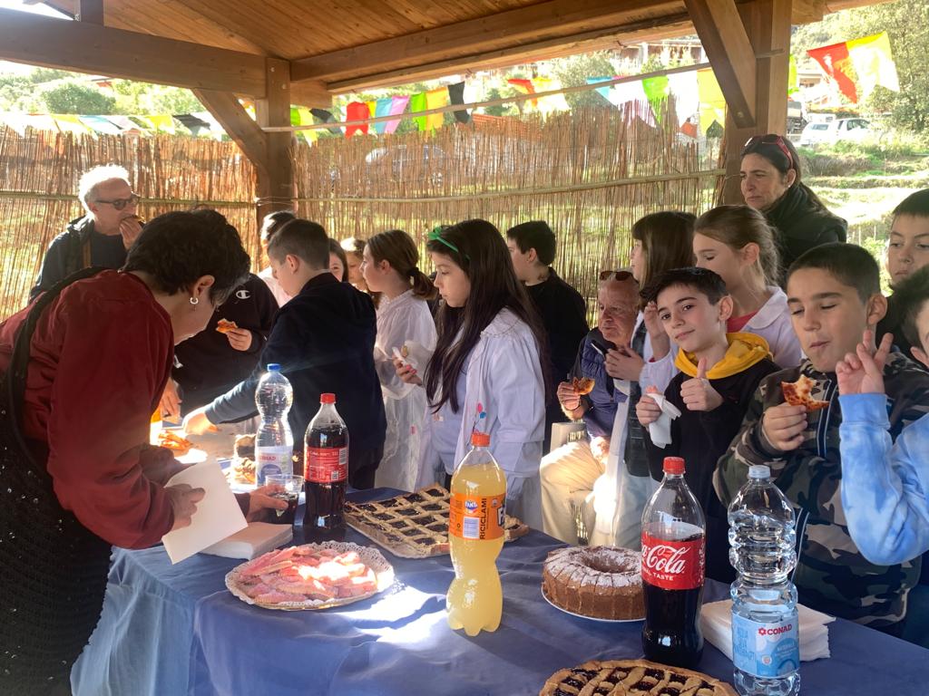 34810e9e 2b18 40bc ad42 04c6ad2180d7