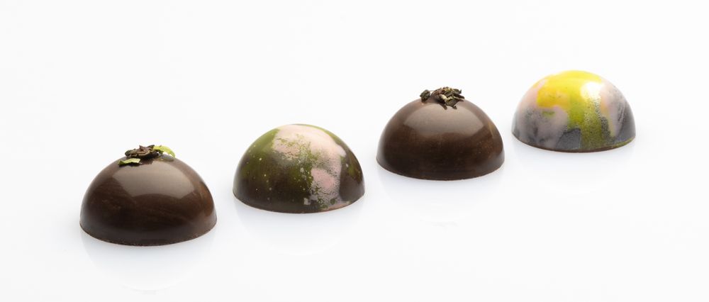 bertani tee con le tigri in linea