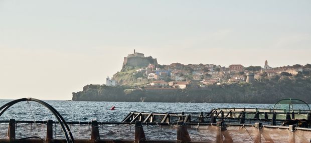 Capraia smart island 620