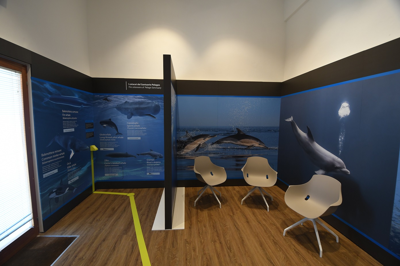 La salata Fabio guidi  