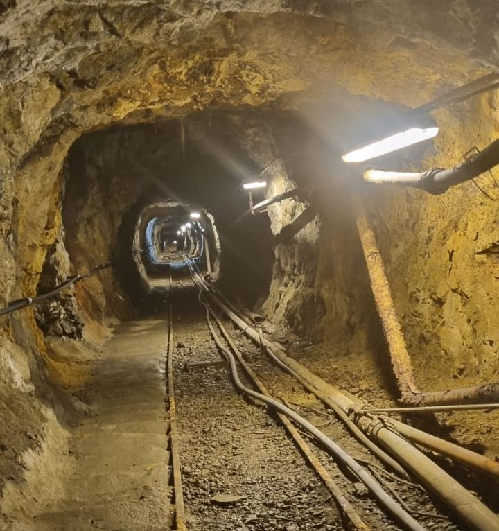 capre miniera del Ginevro 2