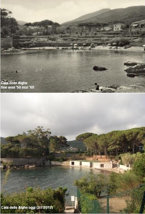 Cala delle Alghe 1