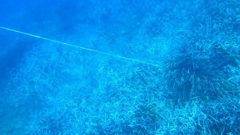 Ferragosto a Giannutri 9