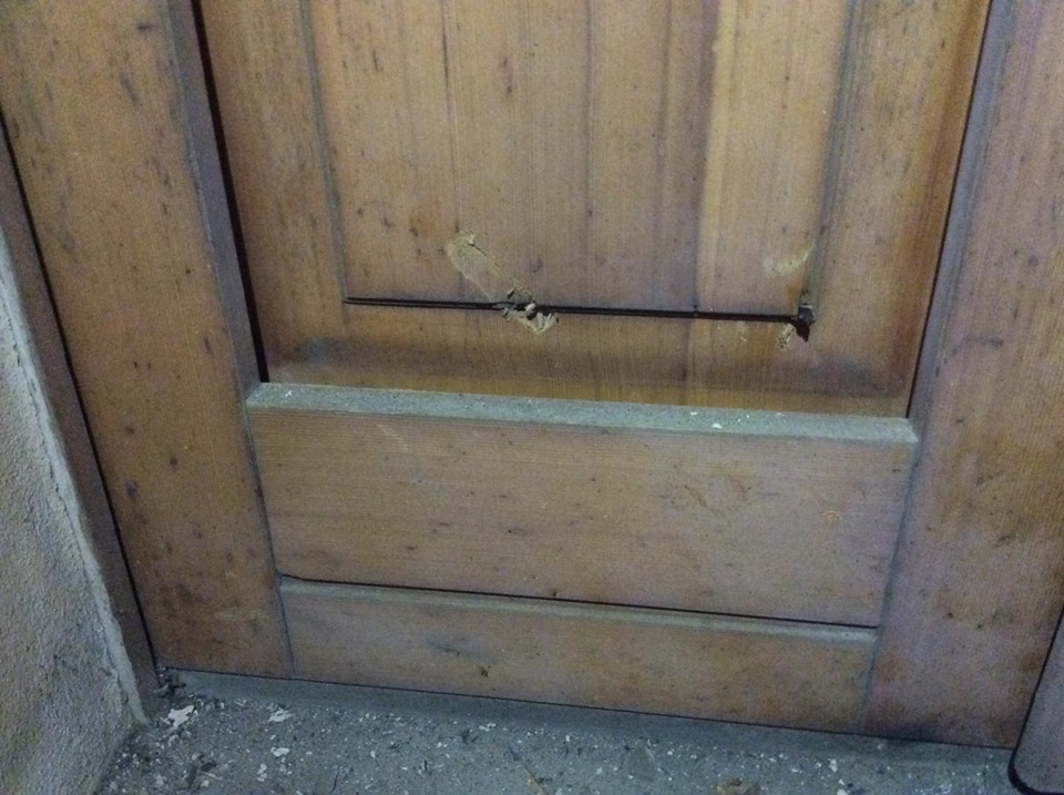 101215146 890194468125517 3578357599004786688 n