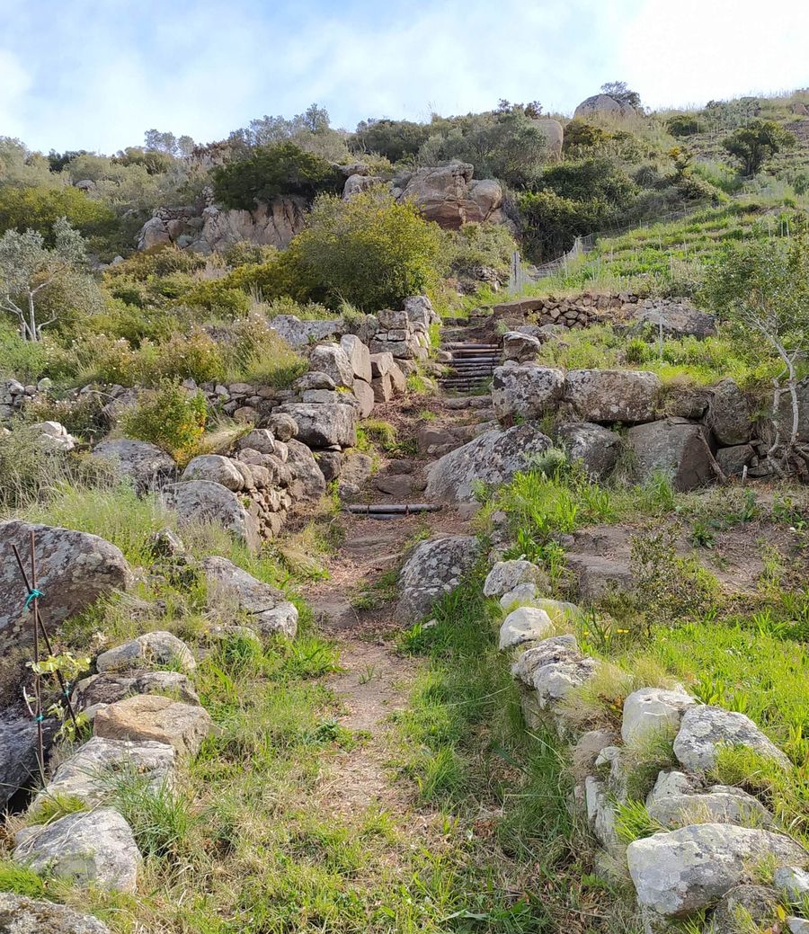 Giglio Sentiero Pulito