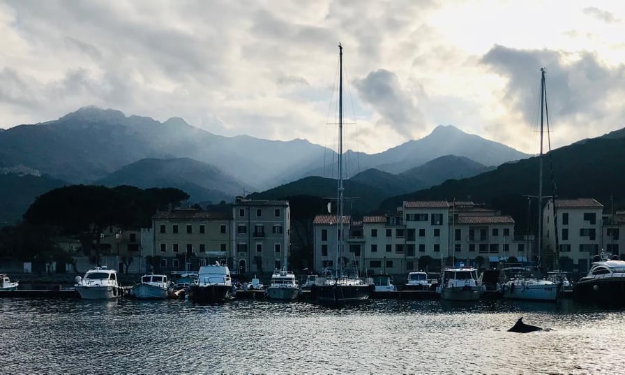 89178200 1320728884778797 1598975247233581056 n