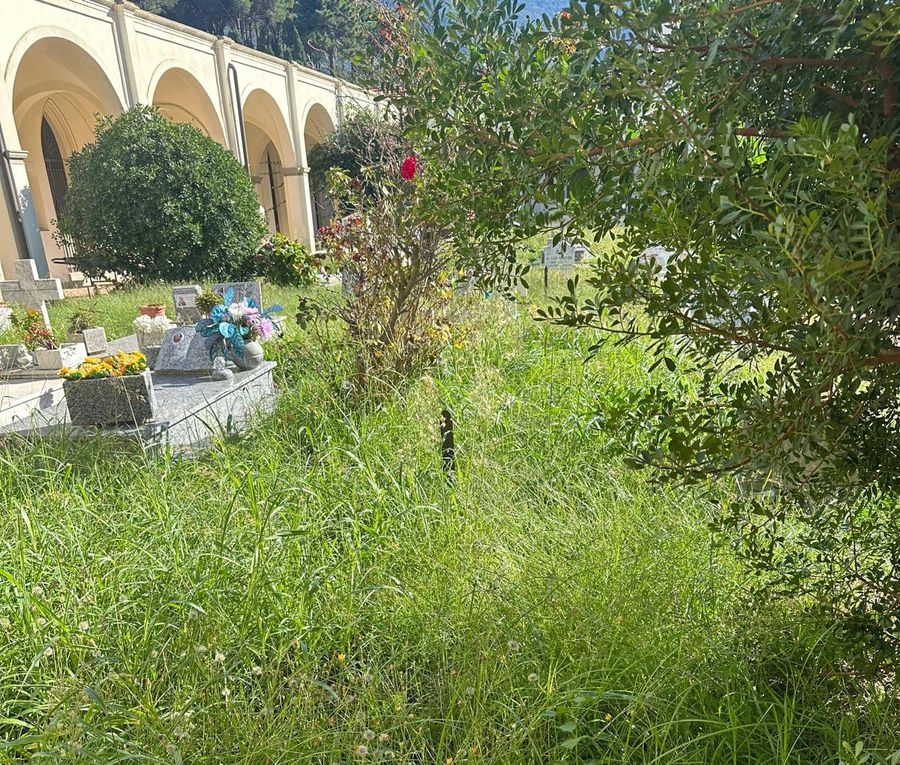 cimitero erba incolta (1)