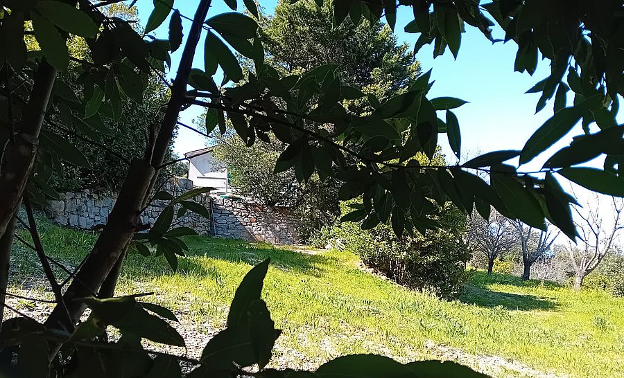 lavacchio sequestro (1)