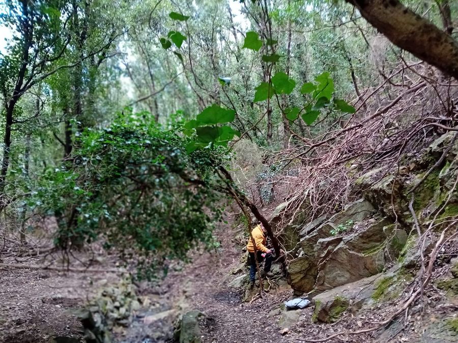 Valdicappone manutenzione sentiero (2)