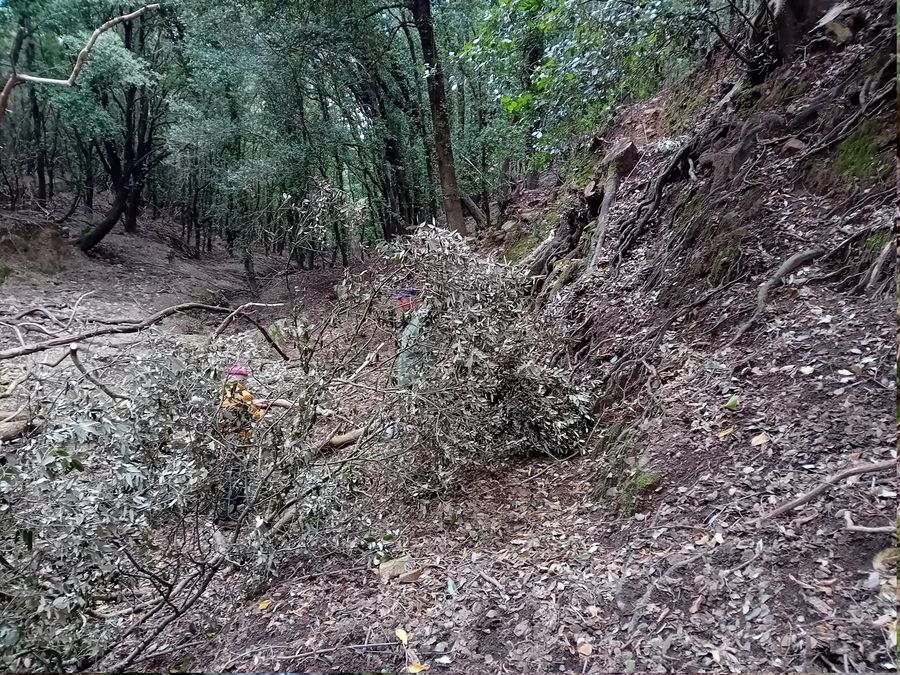 Valdicappone manutenzione sentiero (3)