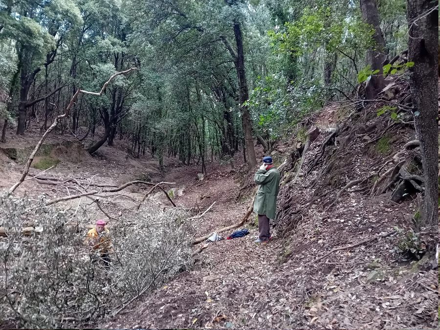 Valdicappone manutenzione sentiero (4)