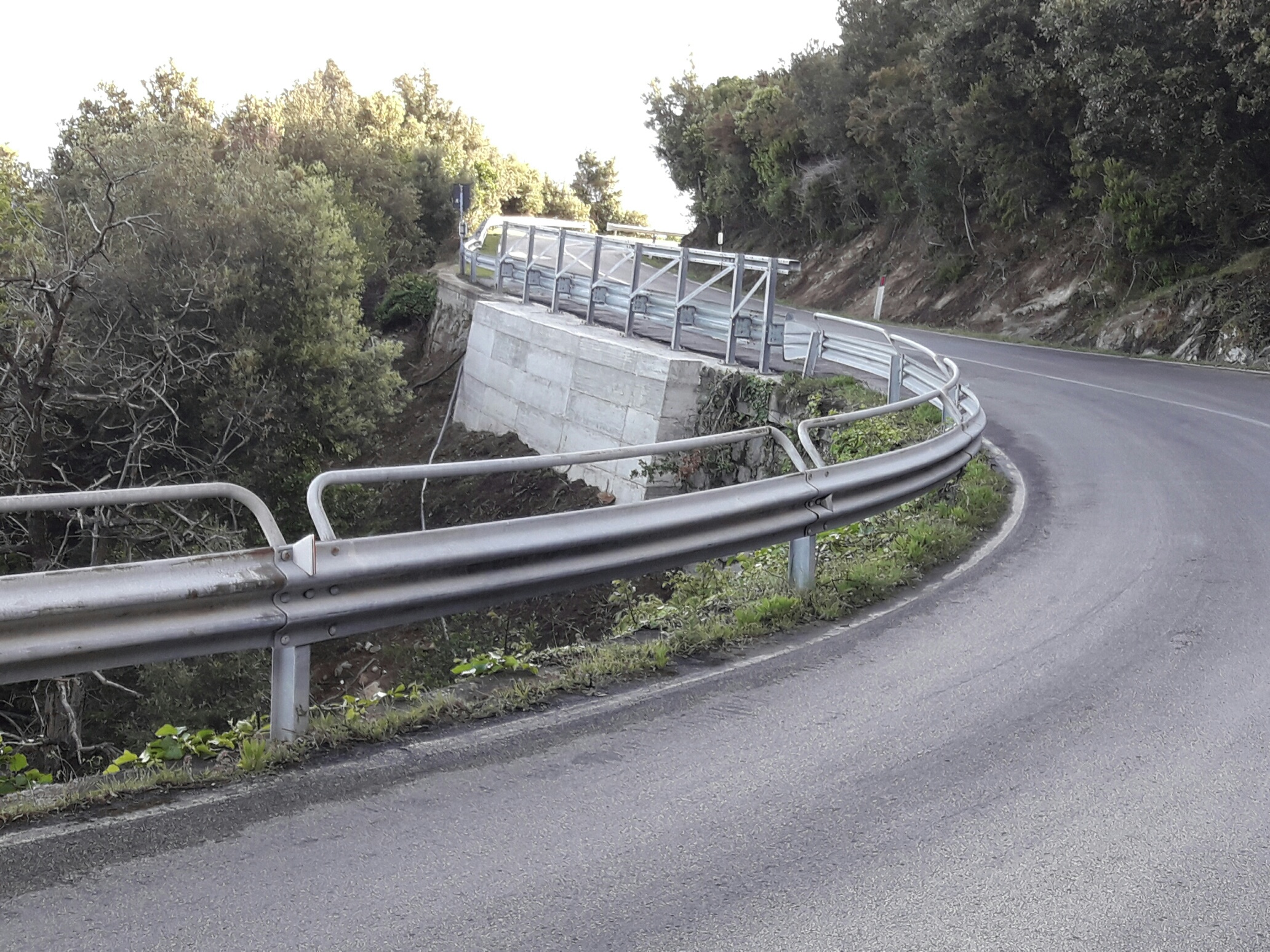 20170428 073727 resized