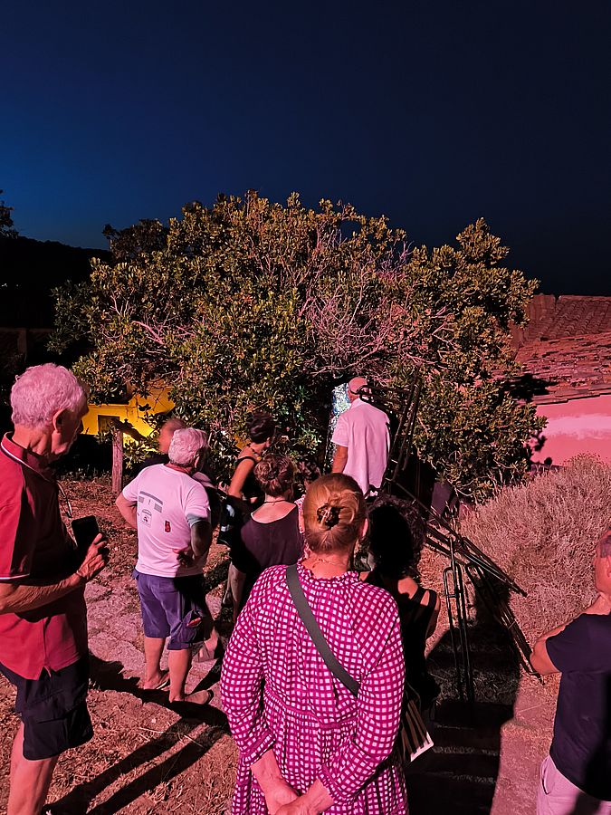 IMG 20260718 215127