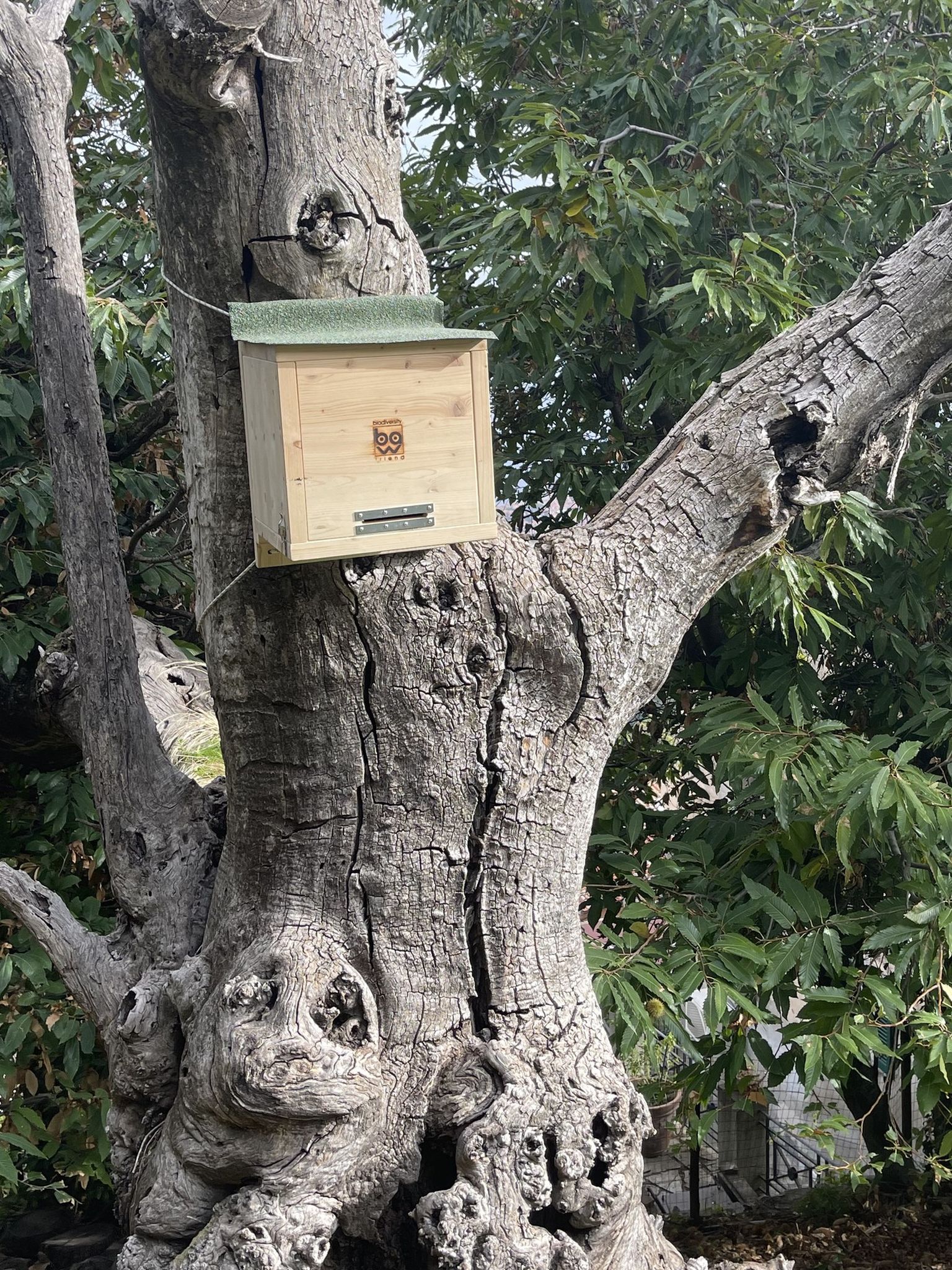 311989227 489348973238658 3031957964594593020 n