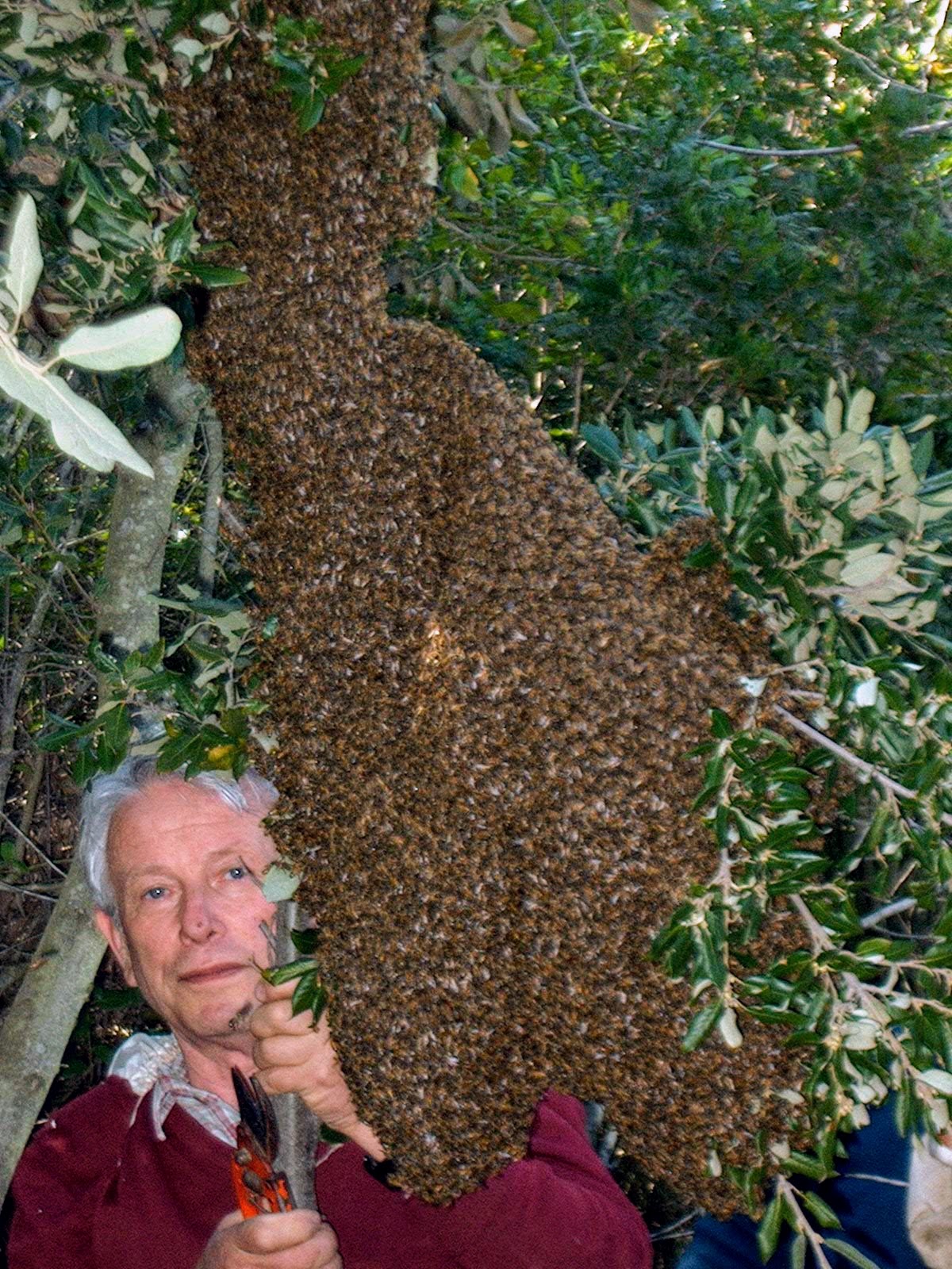 una giornata di miele (6)