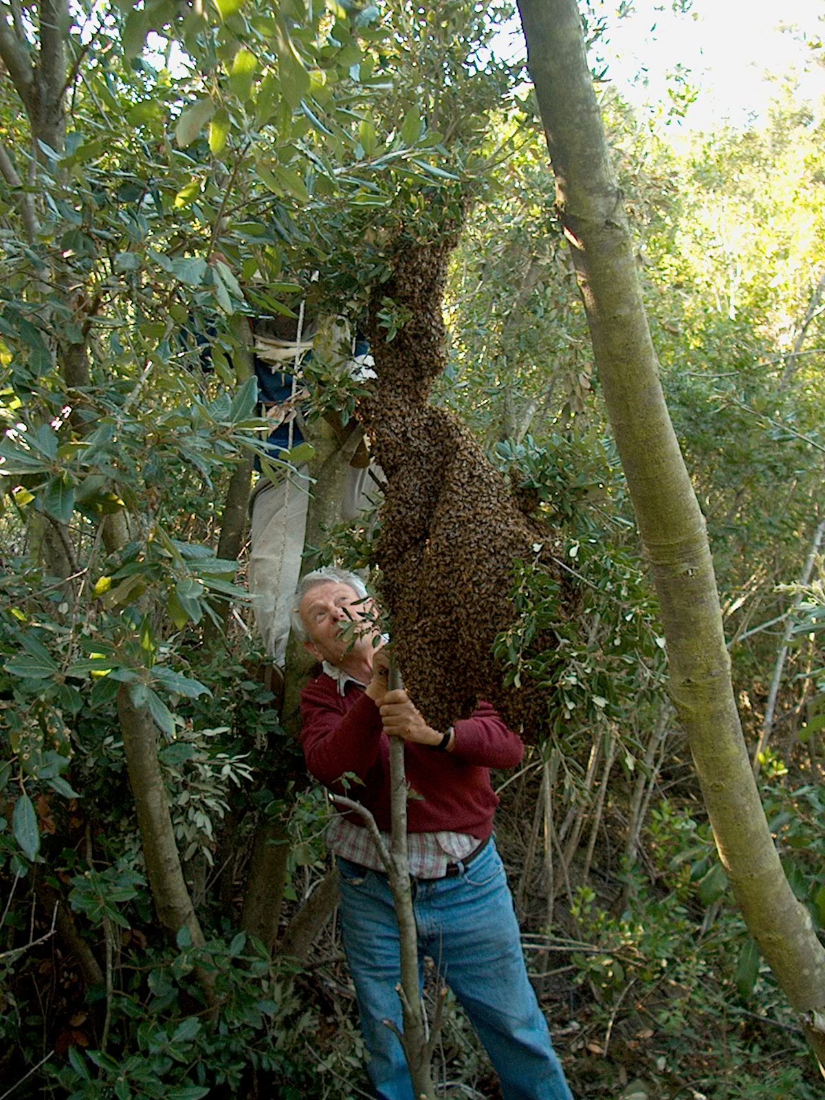una giornata di miele (8)