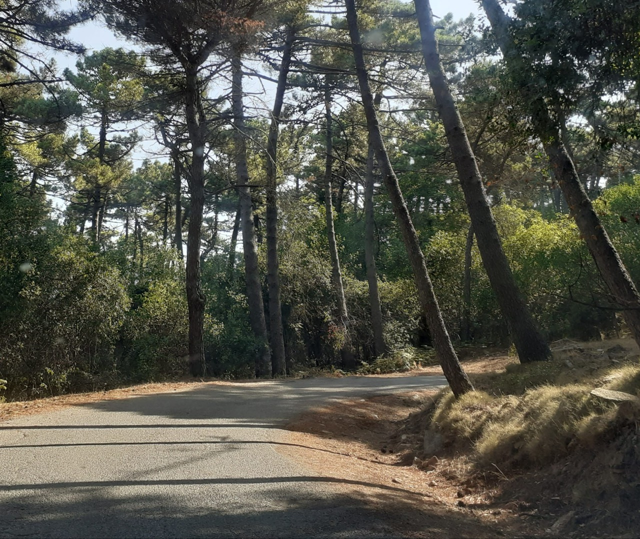 SP 37 monte perone (1)