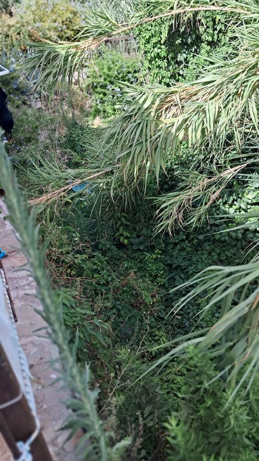 incuria fosso chiessi 3