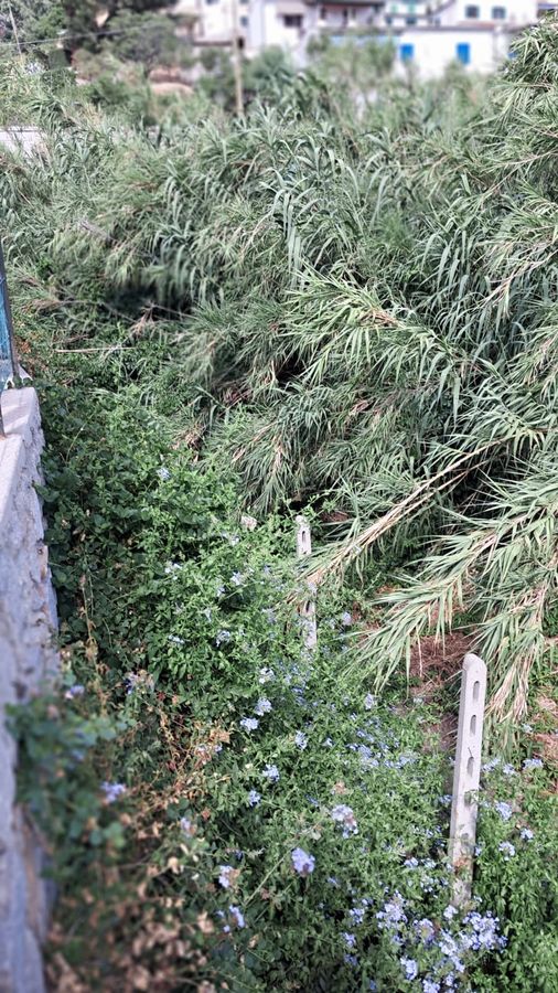 incuria fosso chiessi 6