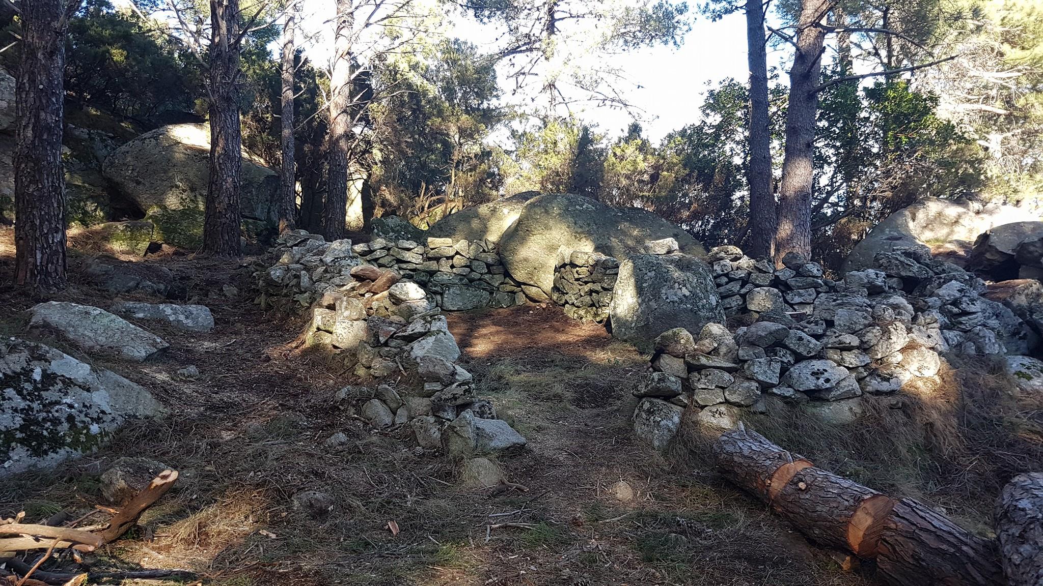 pedalta caprili dopo g