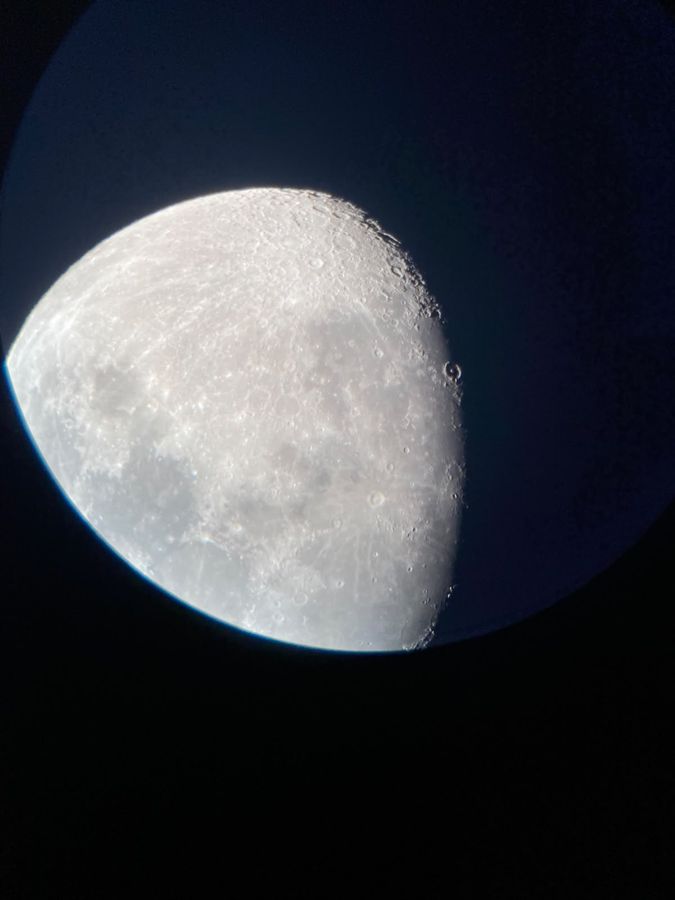 polpo sotto le stelle (1)