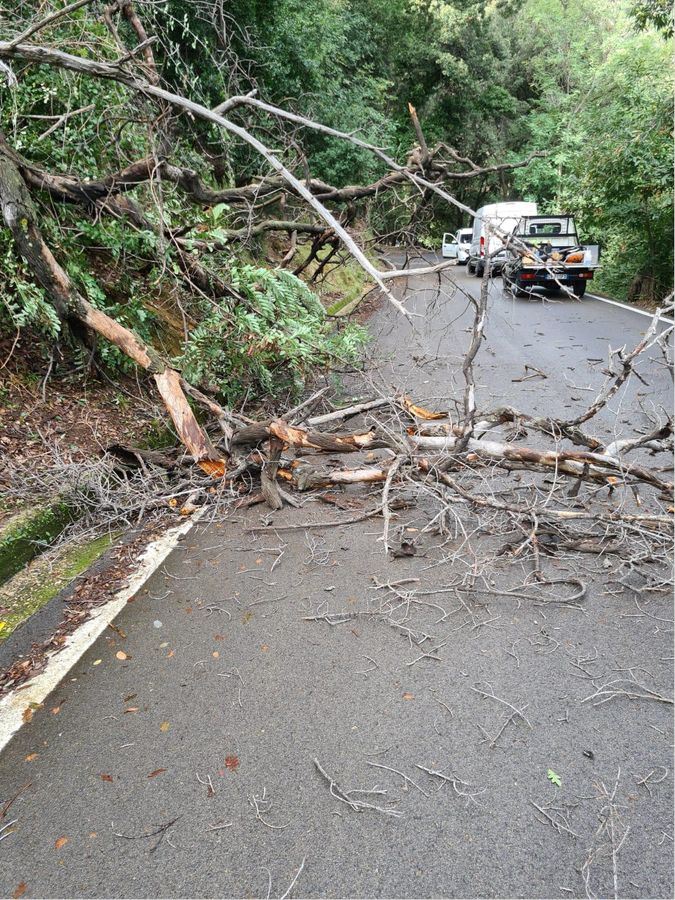 rami caduti civillina 1