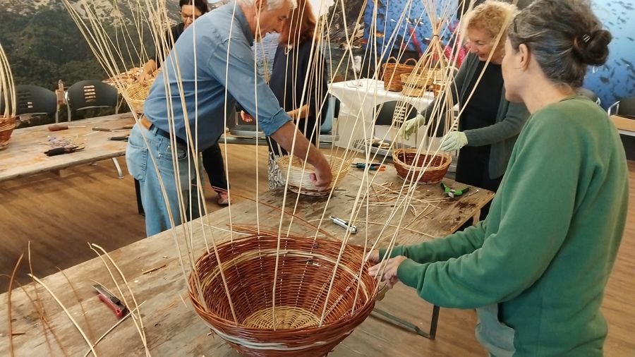 SETTIMANA CASTAGNE 2026 (3) cesti