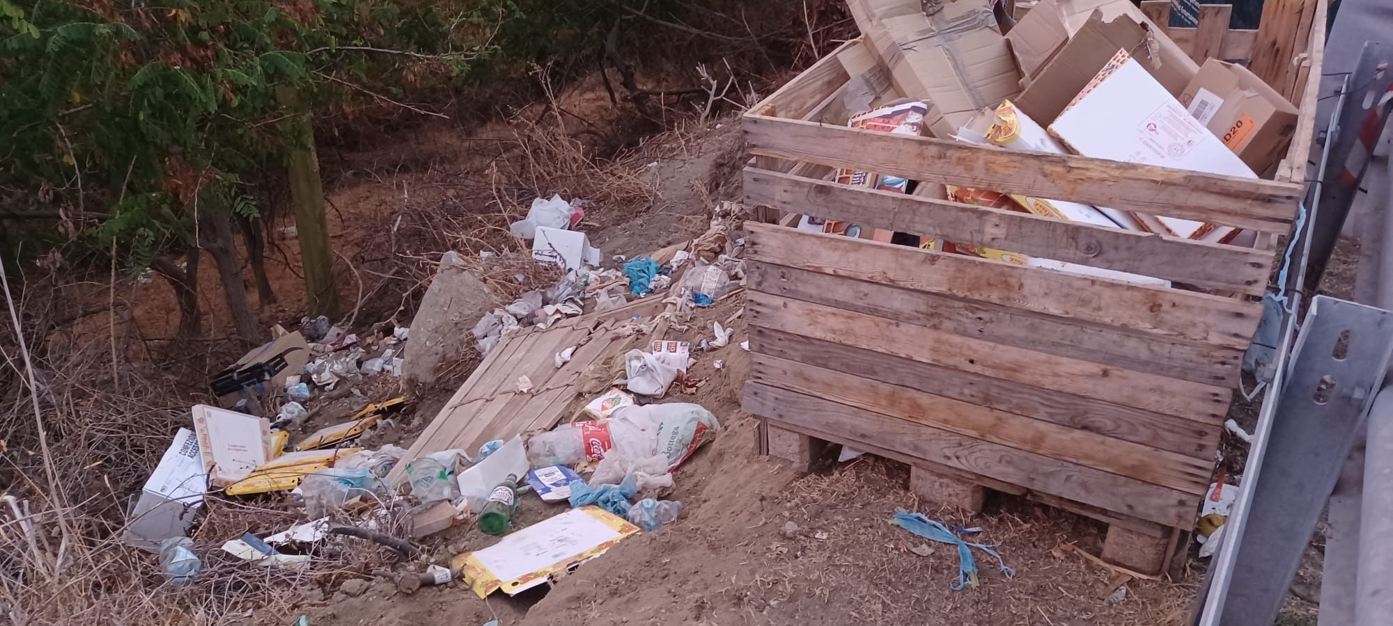 spazzatura abbandonata patresi 1