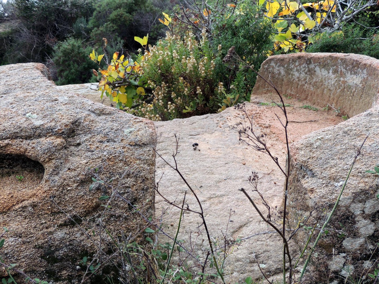 Antica Macina di Cavoli (1)