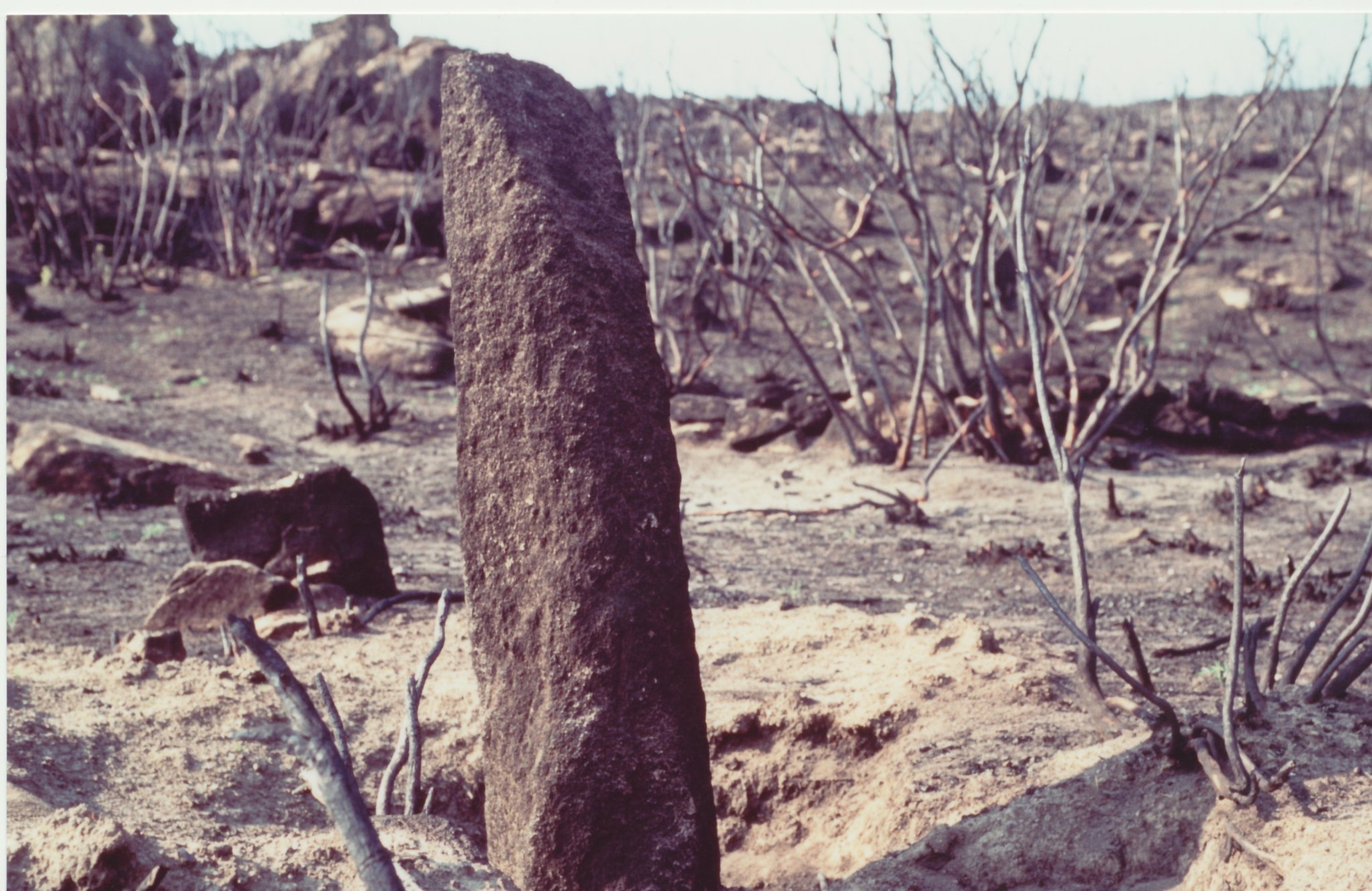 Piane alla Sughera (1)