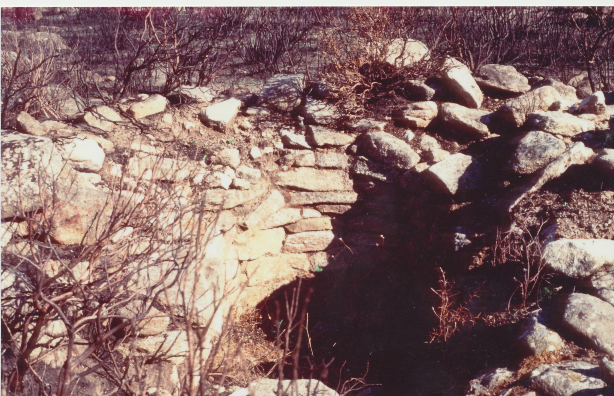 Piane alla Sughera (3)