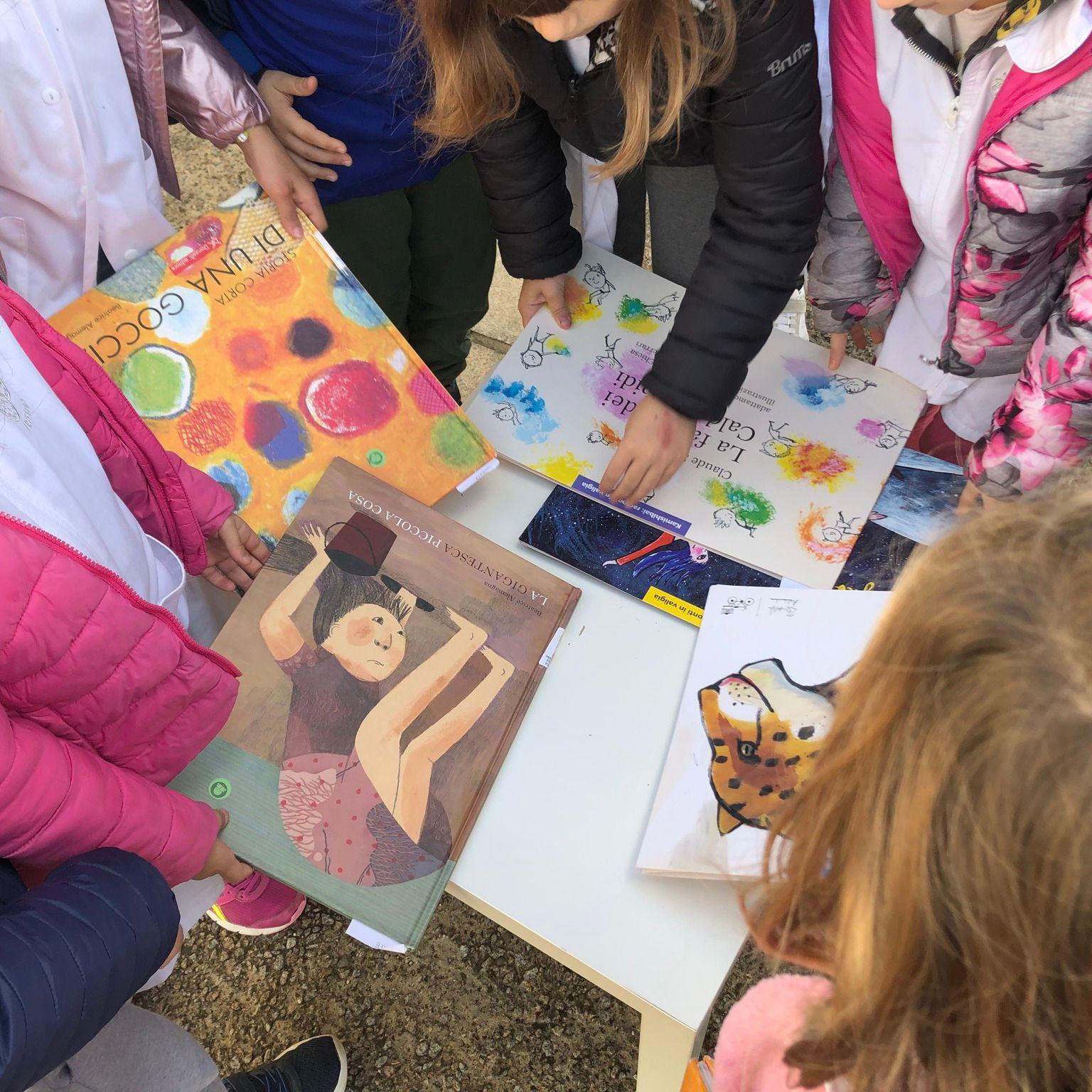 bookcrossing campo 2