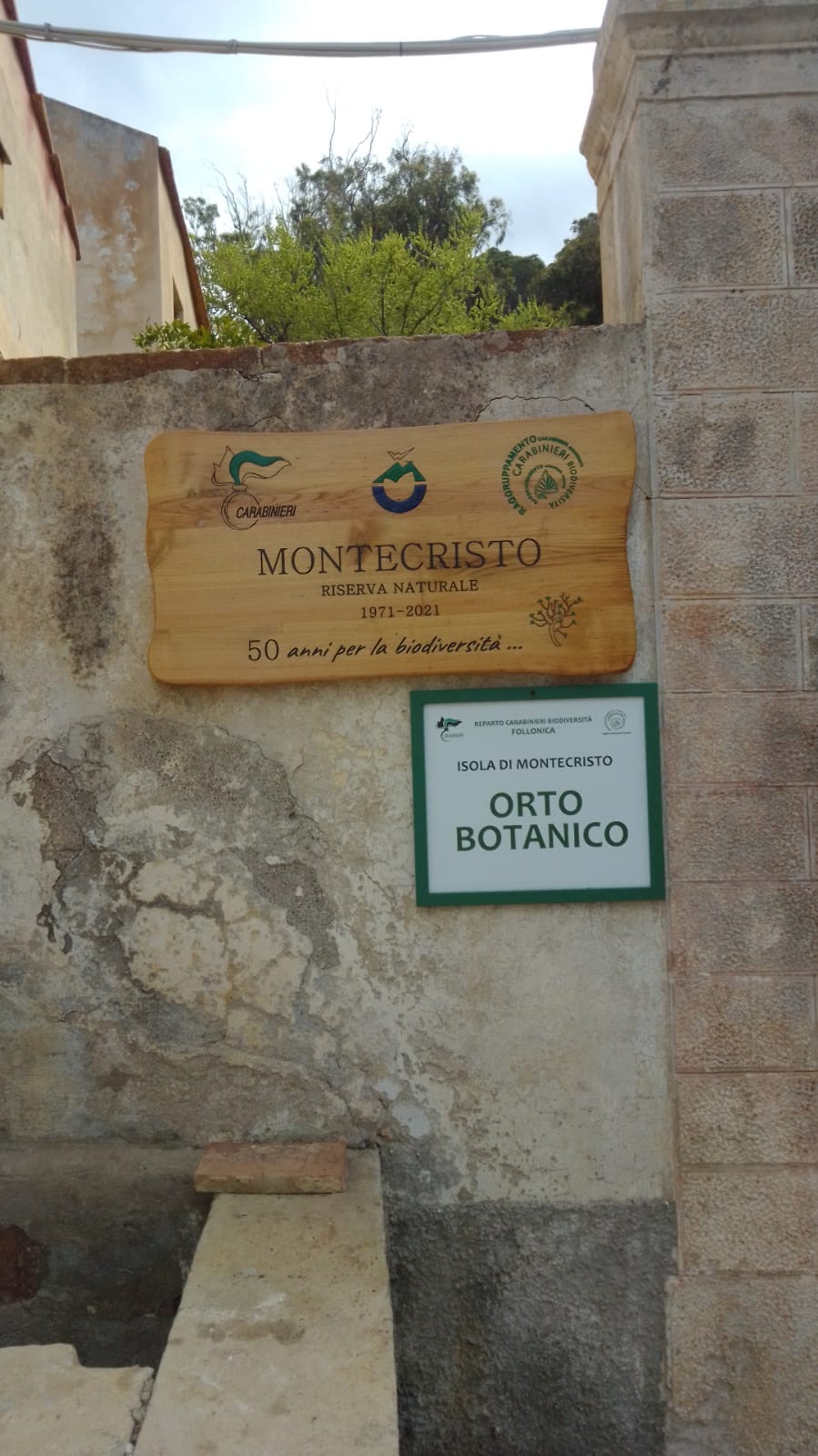 WhatsApp Image 2022 04 12 at 14.45.41 (1)