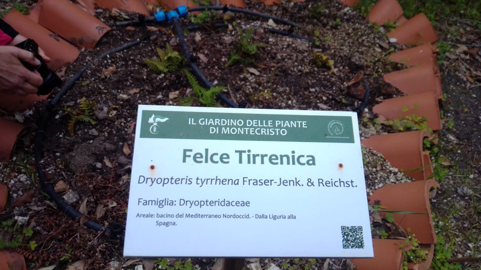 WhatsApp Image 2022 04 12 at 14.45.49 (2)