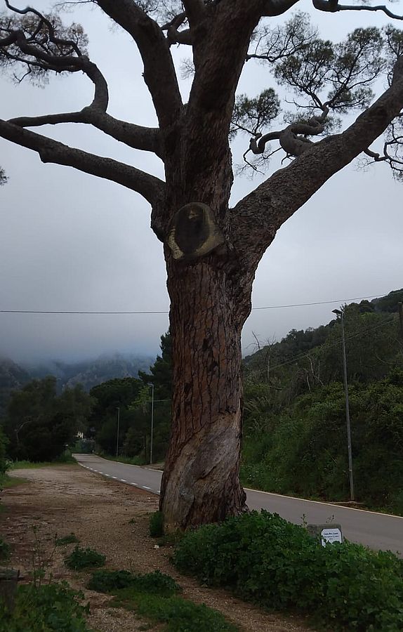 santuario del monserrato gavassa