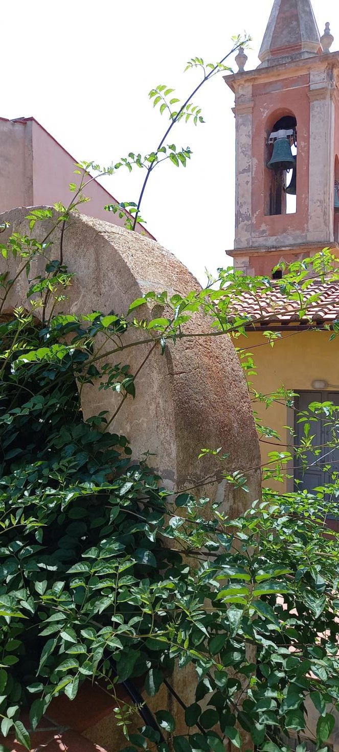 Cortile retrostante l’Istituto Liceo  Scienze Umane R.Foresi 2