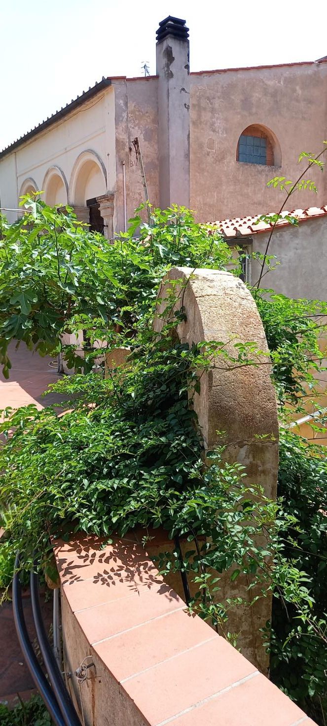 Cortile retrostante l’Istituto Liceo  Scienze Umane R.Foresi 5