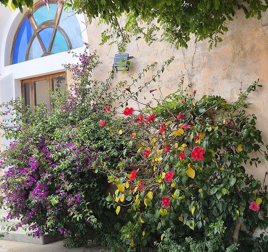 Giardini nascosti di Portoferraio 1
