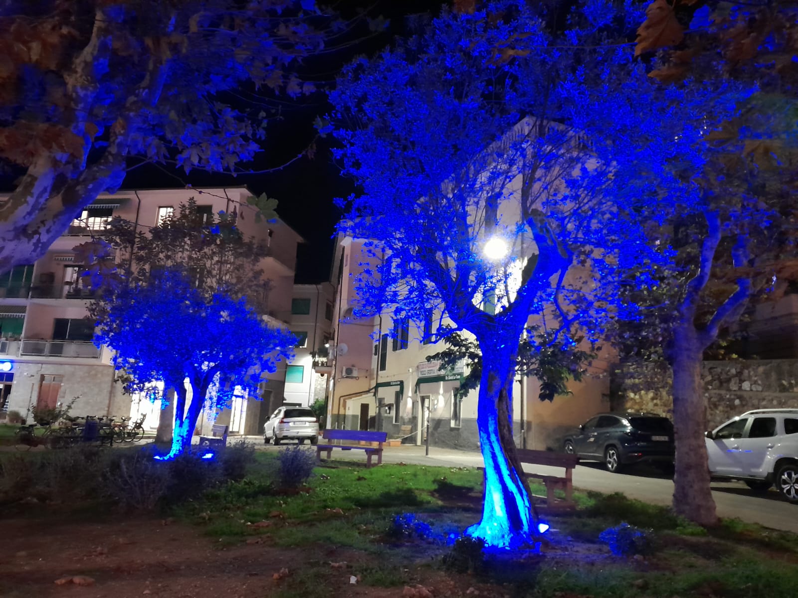 Giornata mondiale del diabete 2