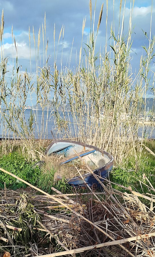 discarica 2026 san giovanni 2