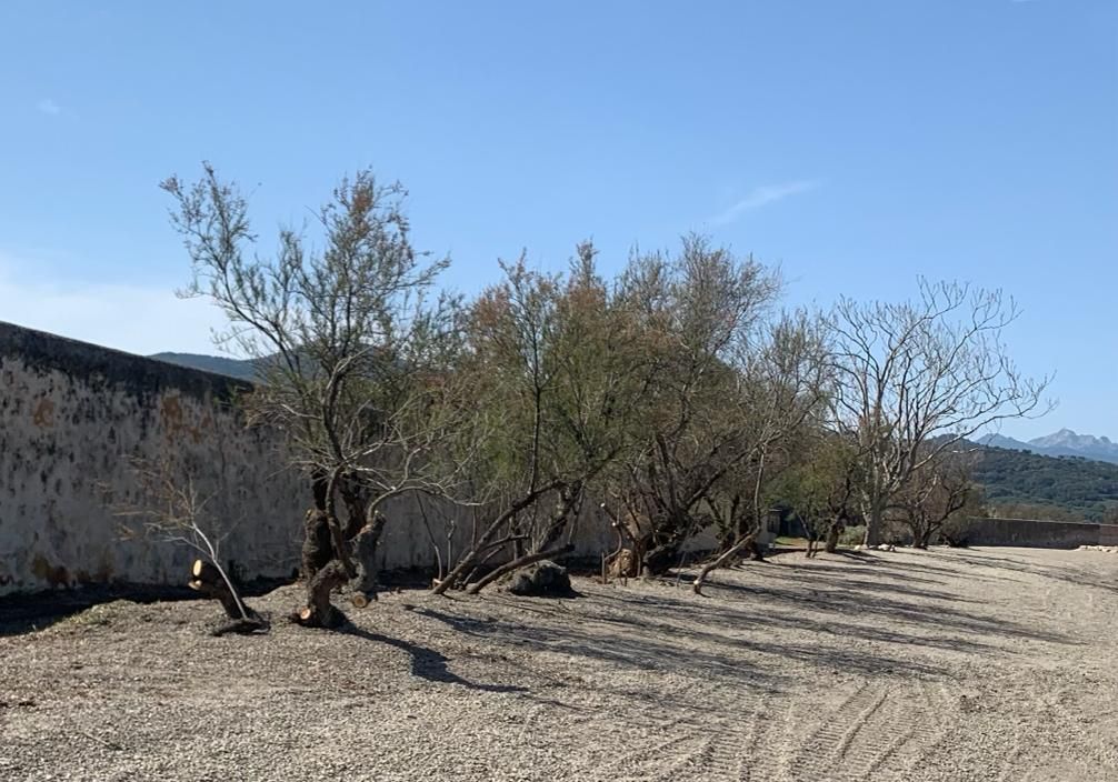 Tamerici Magazzini 2