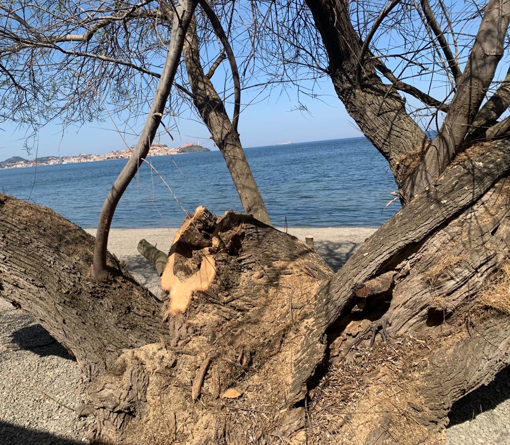 Tamerici Magazzini 3