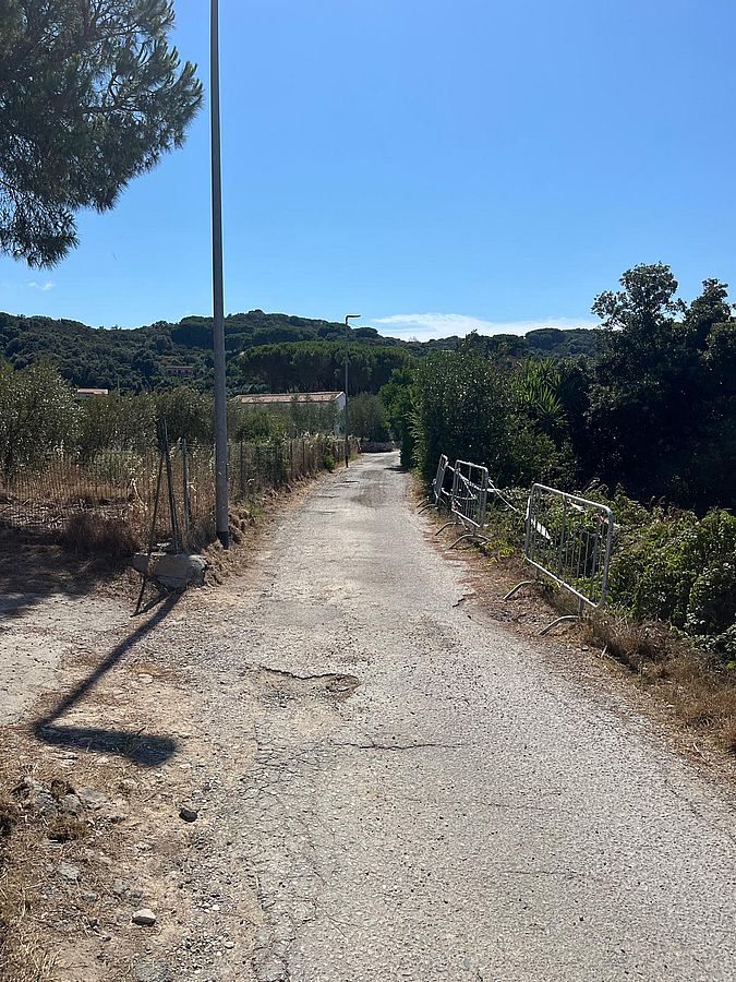 brunello (11)