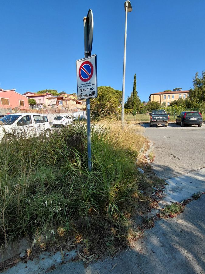 concia di terra erba alta 1