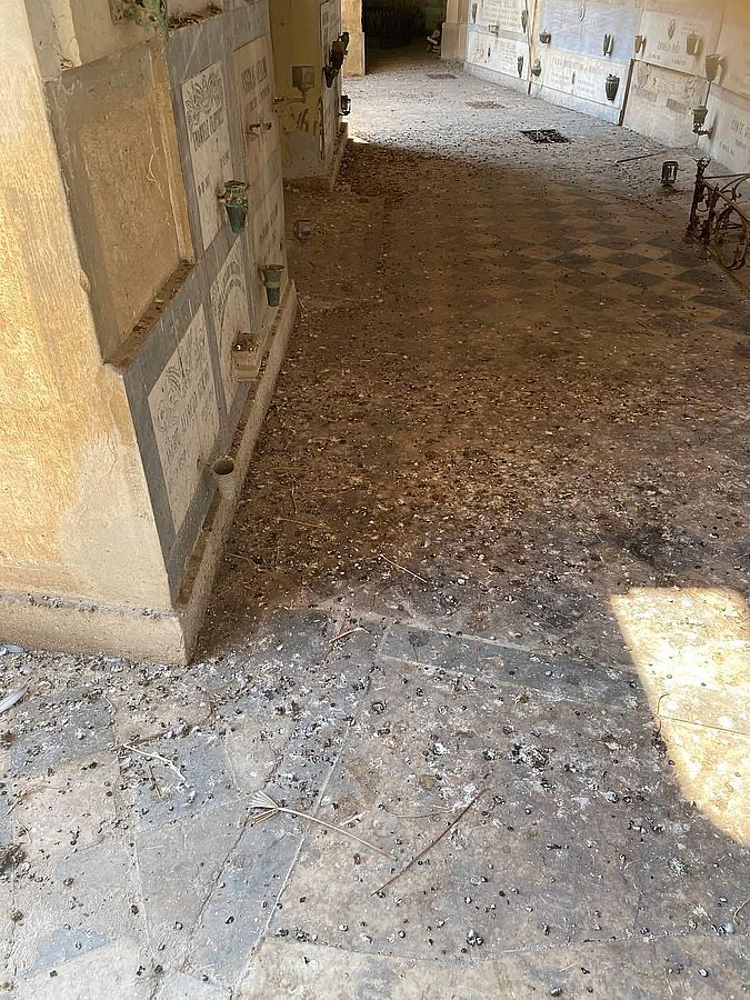 Cimitero Misericordia in abbandono (9)
