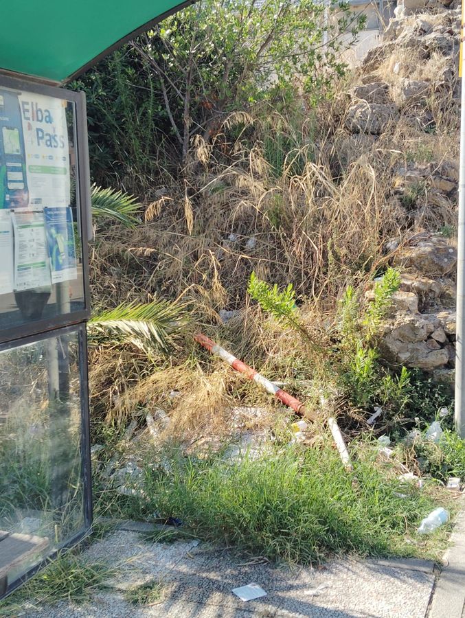 degrado area portuale (6)