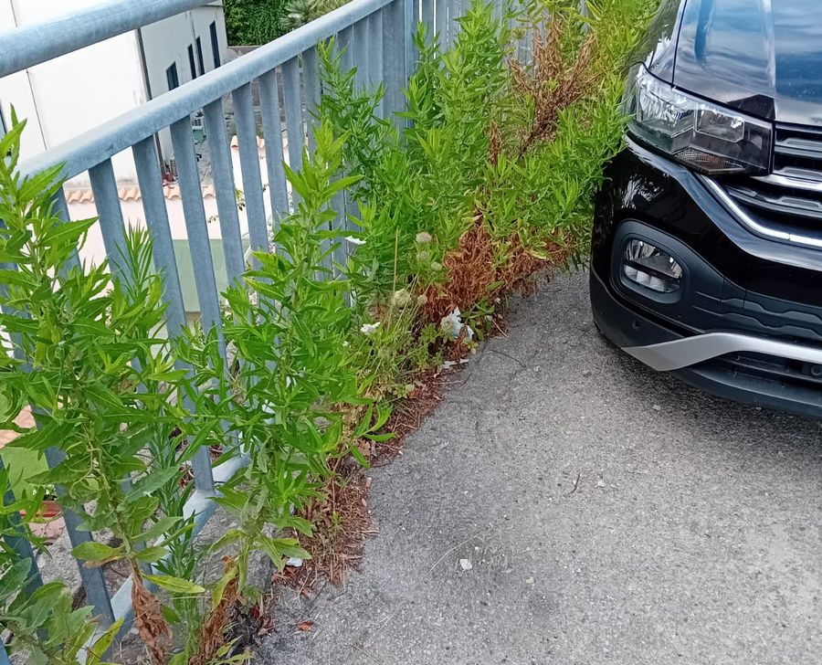 degrado xx settembre