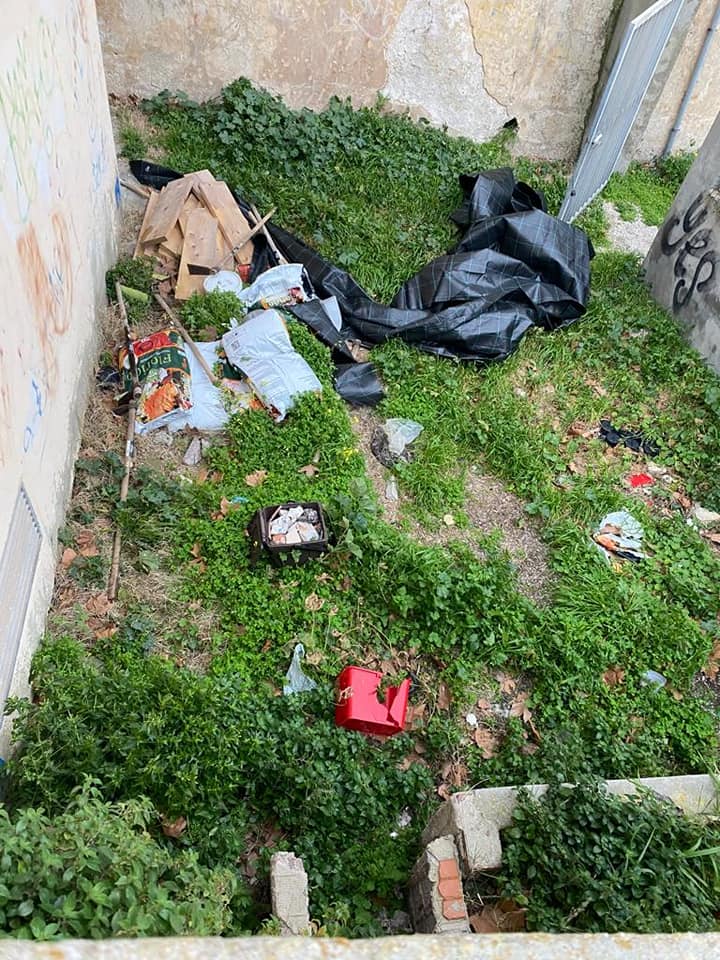 144966268 10222619866437851 1481893325447665761 n